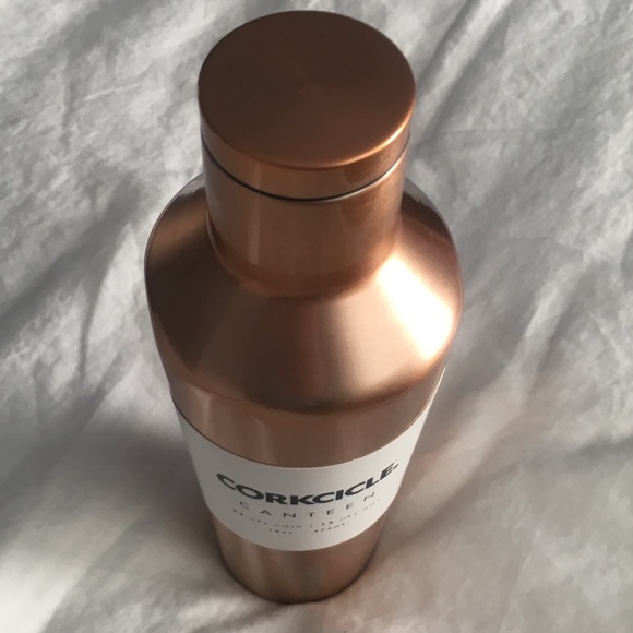 Corkcicle 16oz Metallic Canteen Water Bottle - Picture 3 of 3